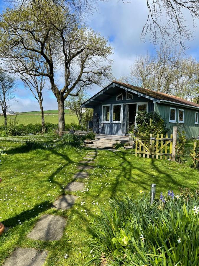 Beech Hut - A Streamside Family Escape Near Salcombe And Beaches South Milton Bagian luar foto