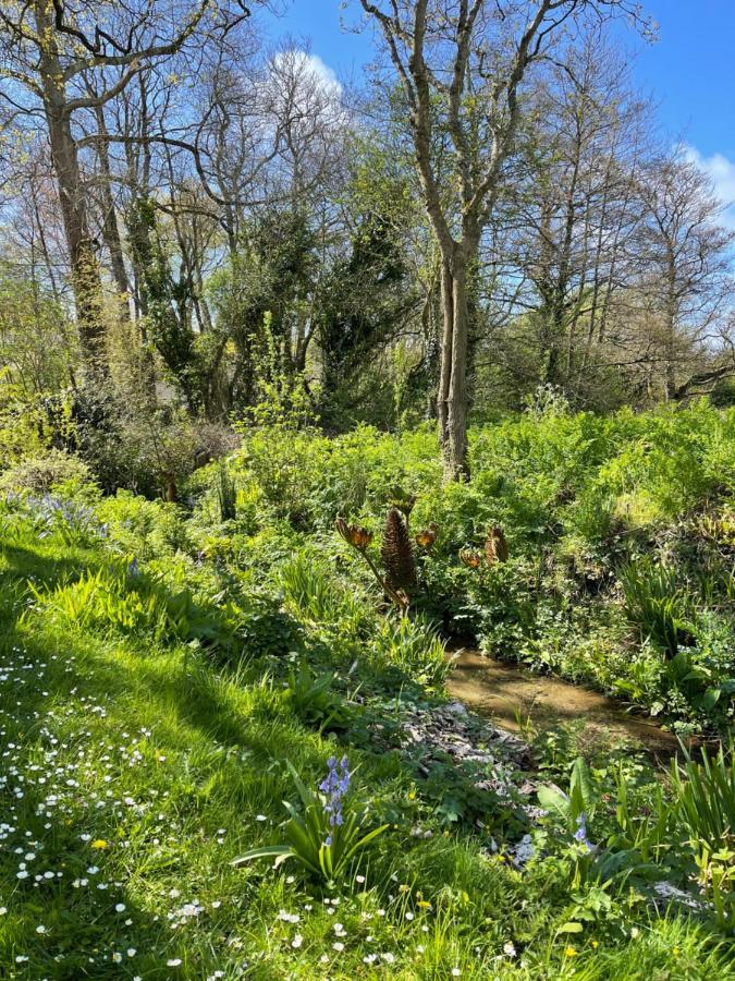 Beech Hut - A Streamside Family Escape Near Salcombe And Beaches South Milton Bagian luar foto